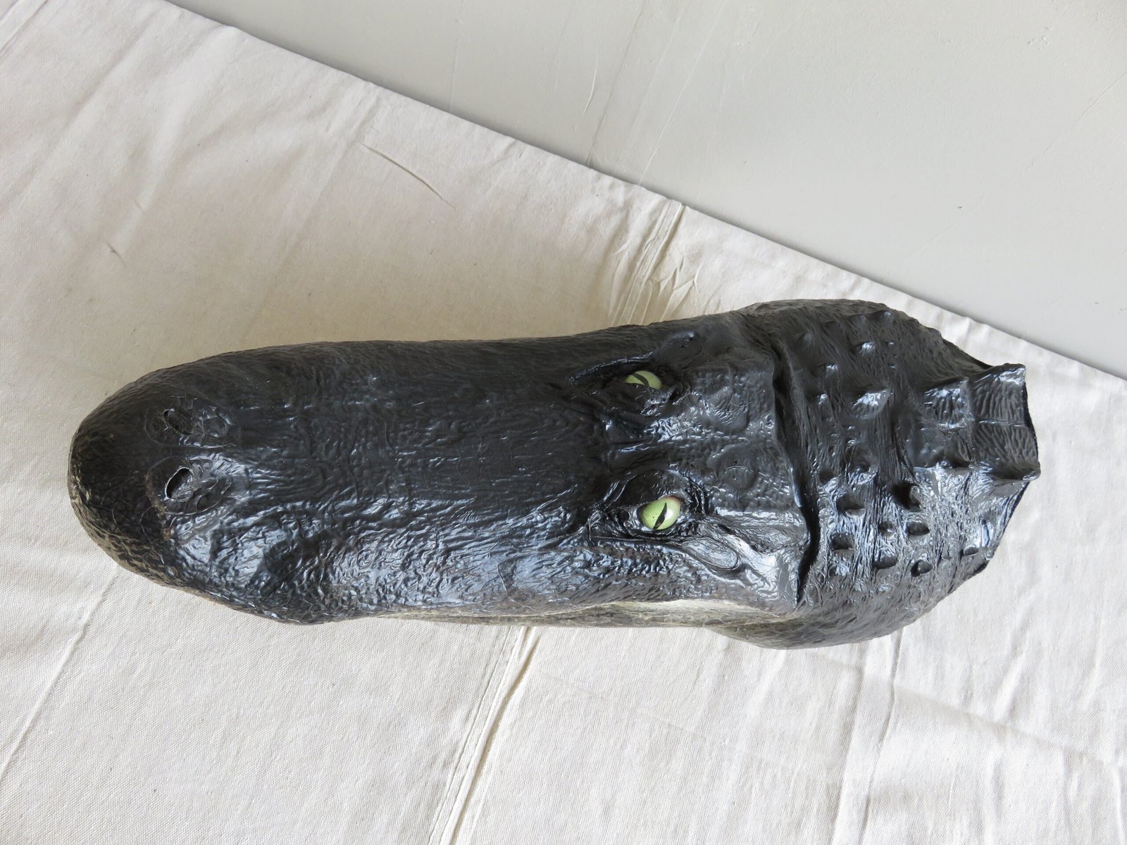 Alligator Taxidermy Head Mount For Sale