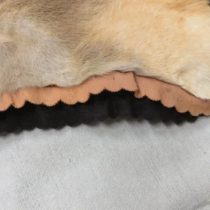 Australian Kangaroo Hide