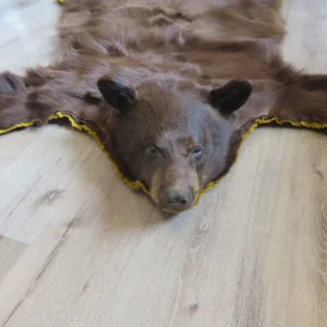 Black Bear Skin Rug