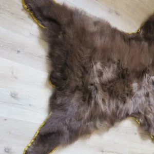 Black Bear Skin Rug