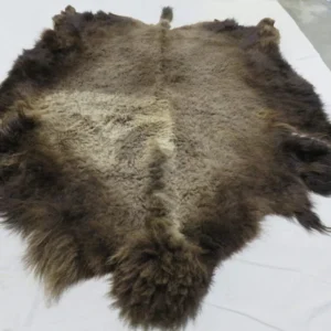 Bison Buffalo Skin Hide
