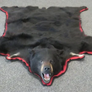 Black Bear Skin Rug
