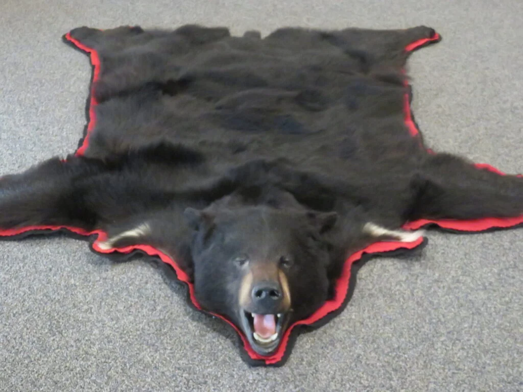 Black Bear Skin Rug