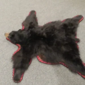 Black Bear Taxidermy Rug Online