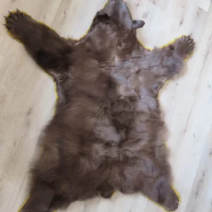 Black Bear Skin Rug