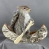 Taxidermy Squirrel