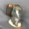 Taxidermy Squirrels