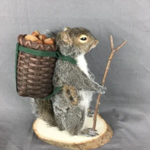 Alternative view of Squirrel With Basket