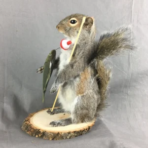 Squirrel Taxidermy Mounts