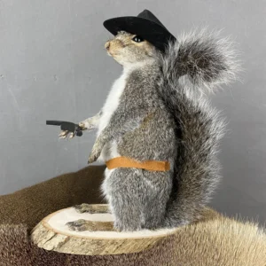 Squirrel Cowboy Taxidermy