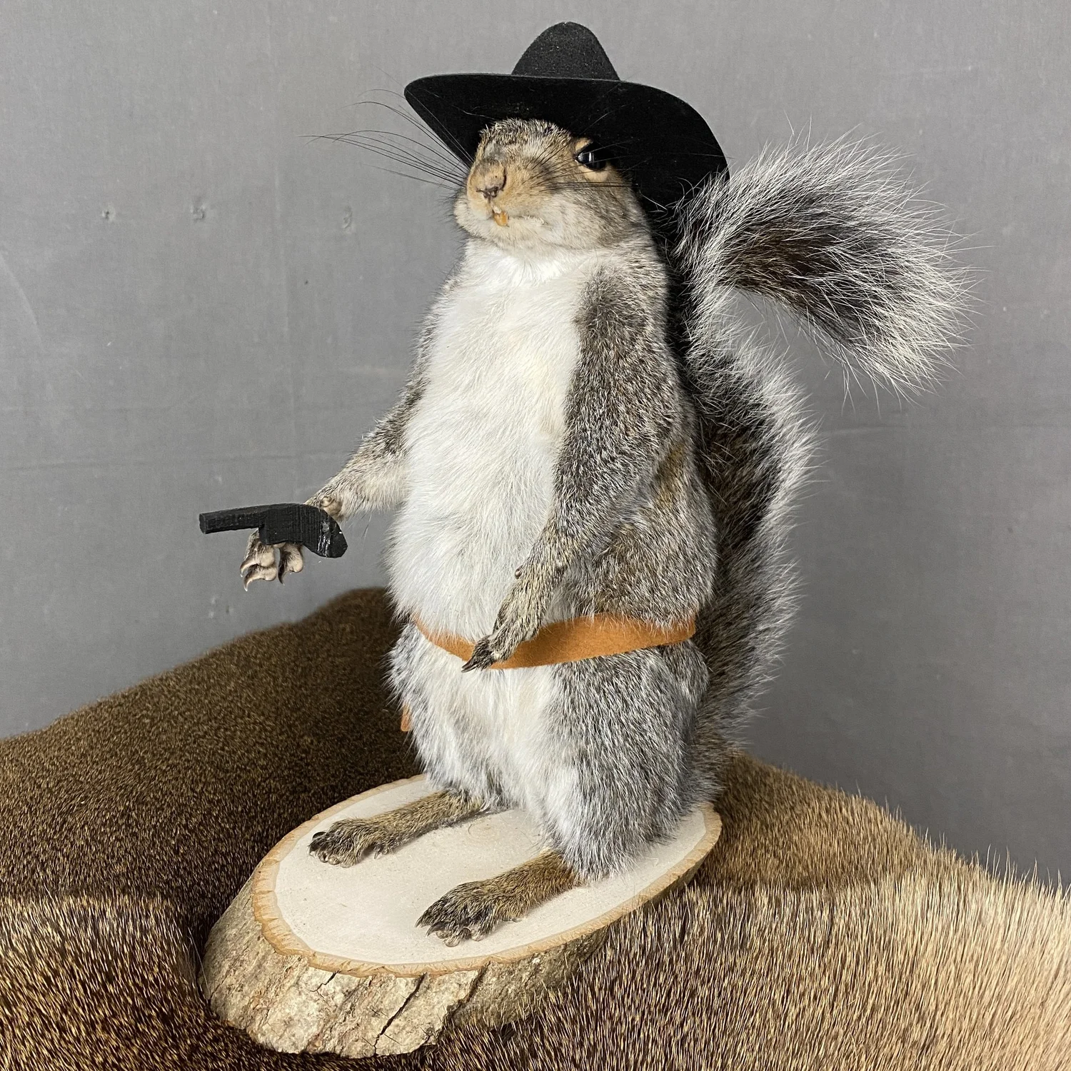 Squirrel Cowboy Taxidermy