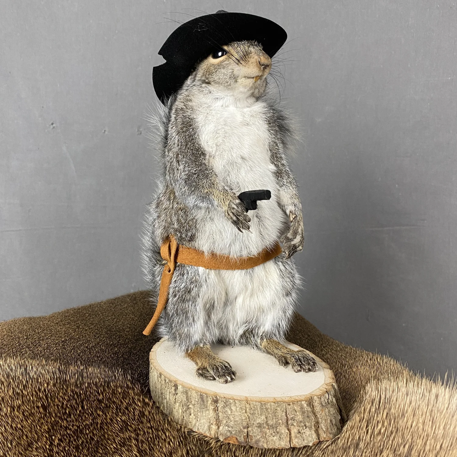 Squirrel Cowboy Taxidermy
