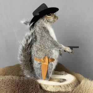 Squirrel Cowboy Taxidermy