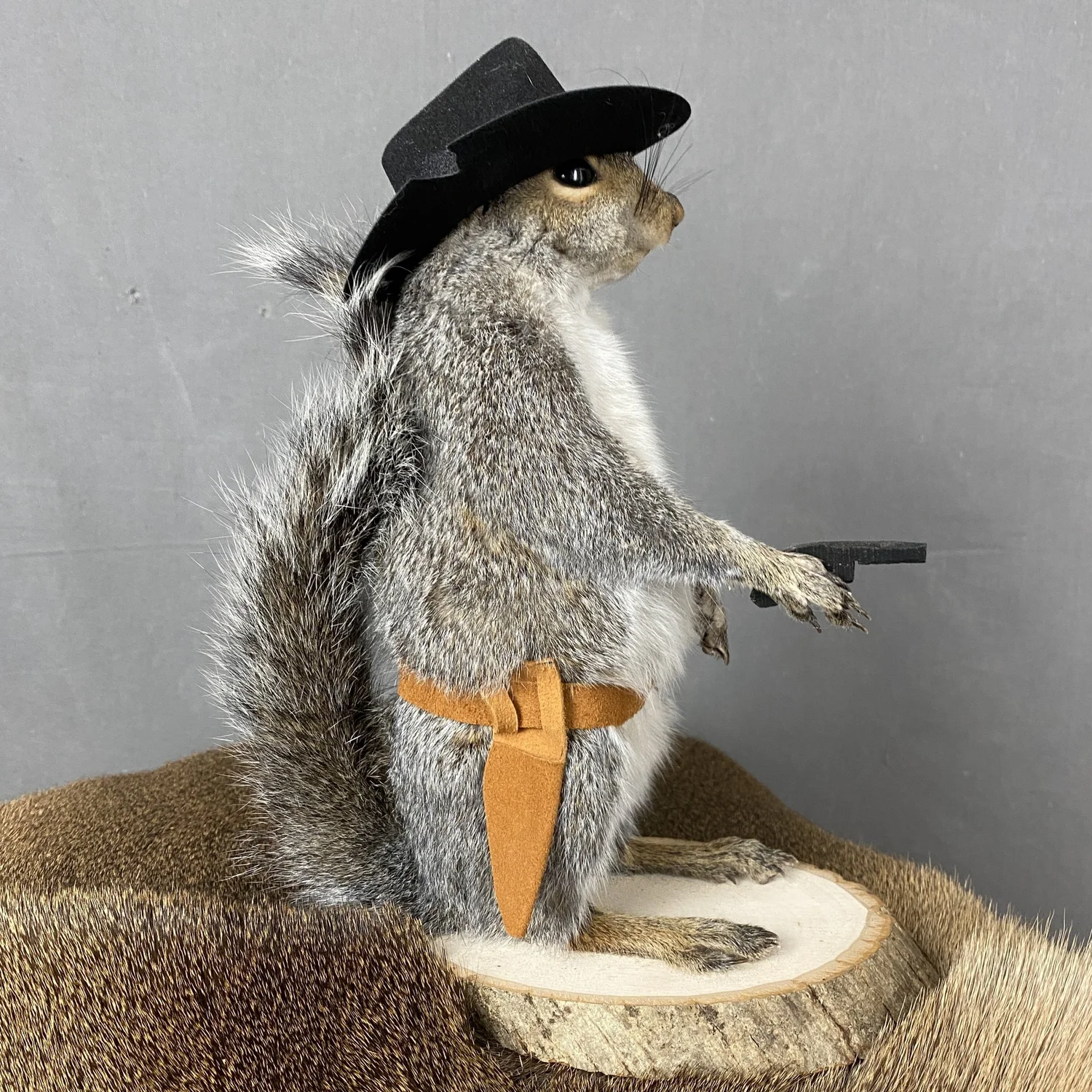 Squirrel Cowboy Taxidermy
